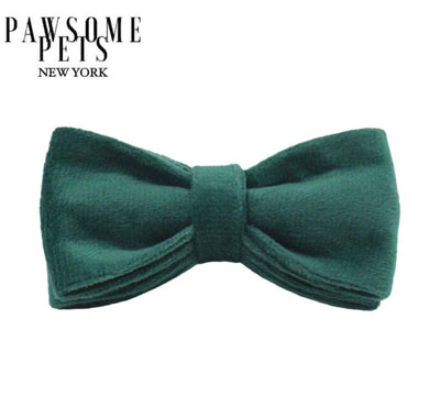 BOWTIE - VIRIDIAN