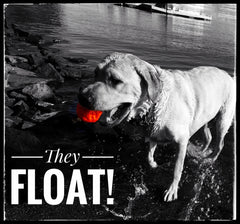 WUNDERball - Best Fetch Toy