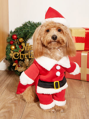 Dog Apparel